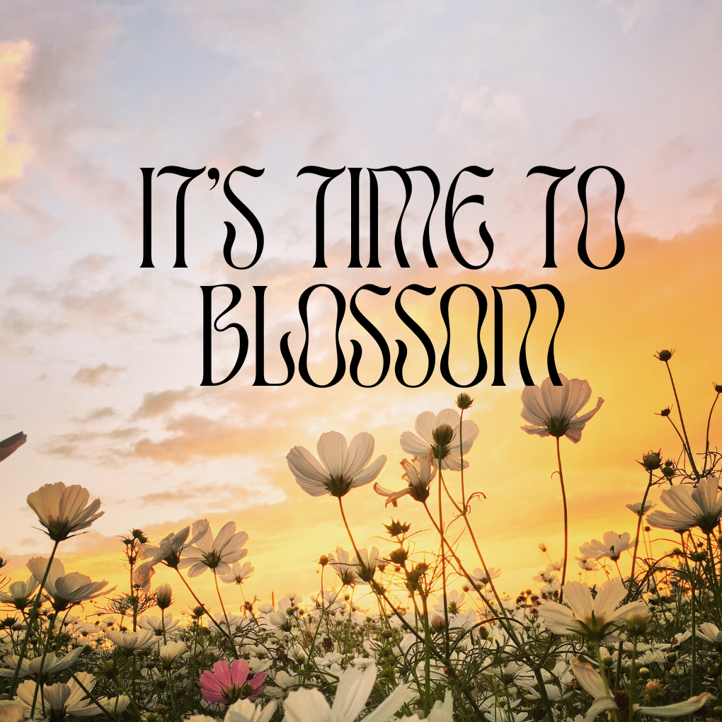 Wild flowers with a sunset in the background, and text that reads It's time to blossom.